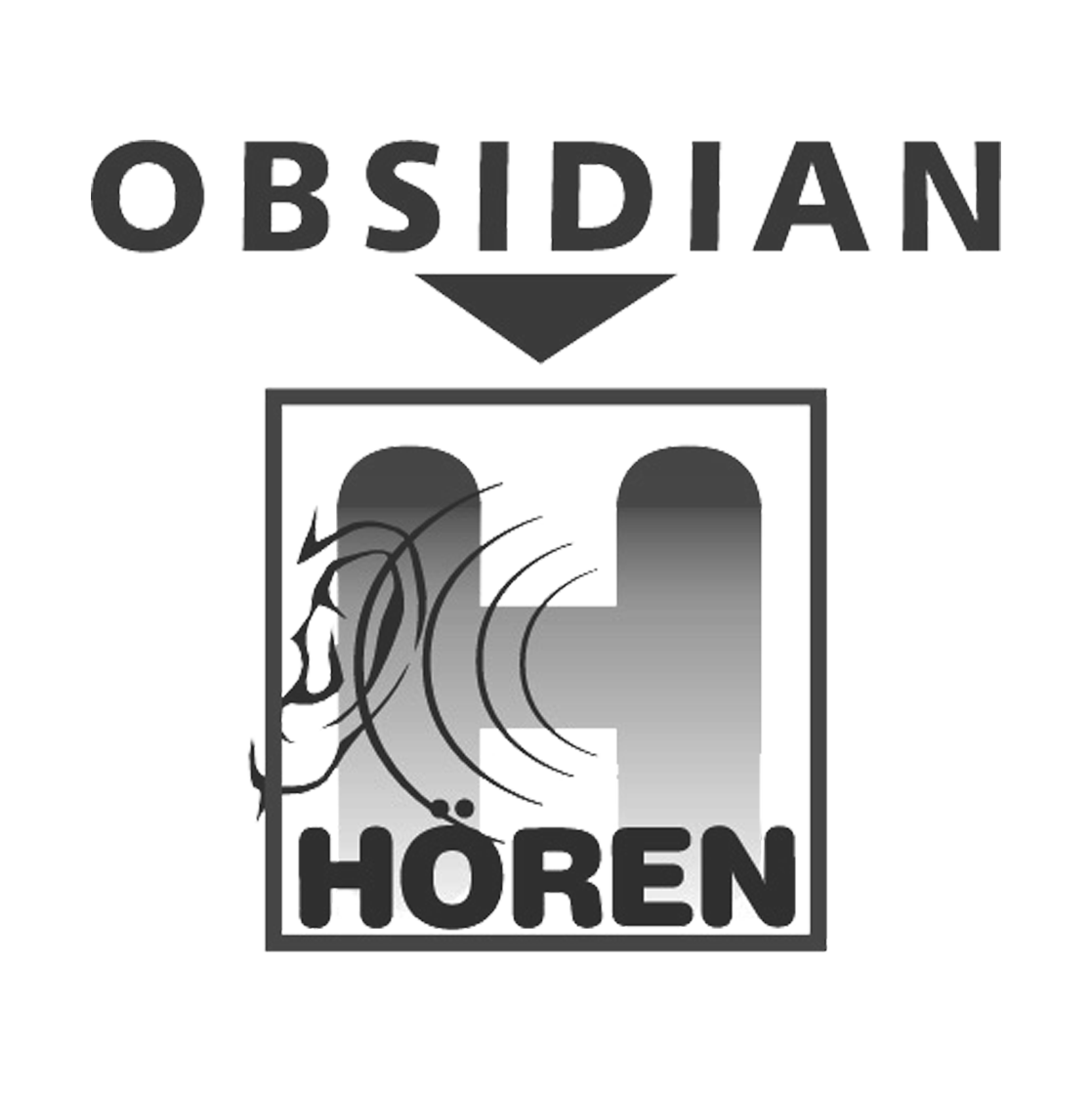 Hörpartner Obsidian